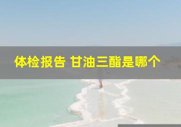 体检报告 甘油三酯是哪个